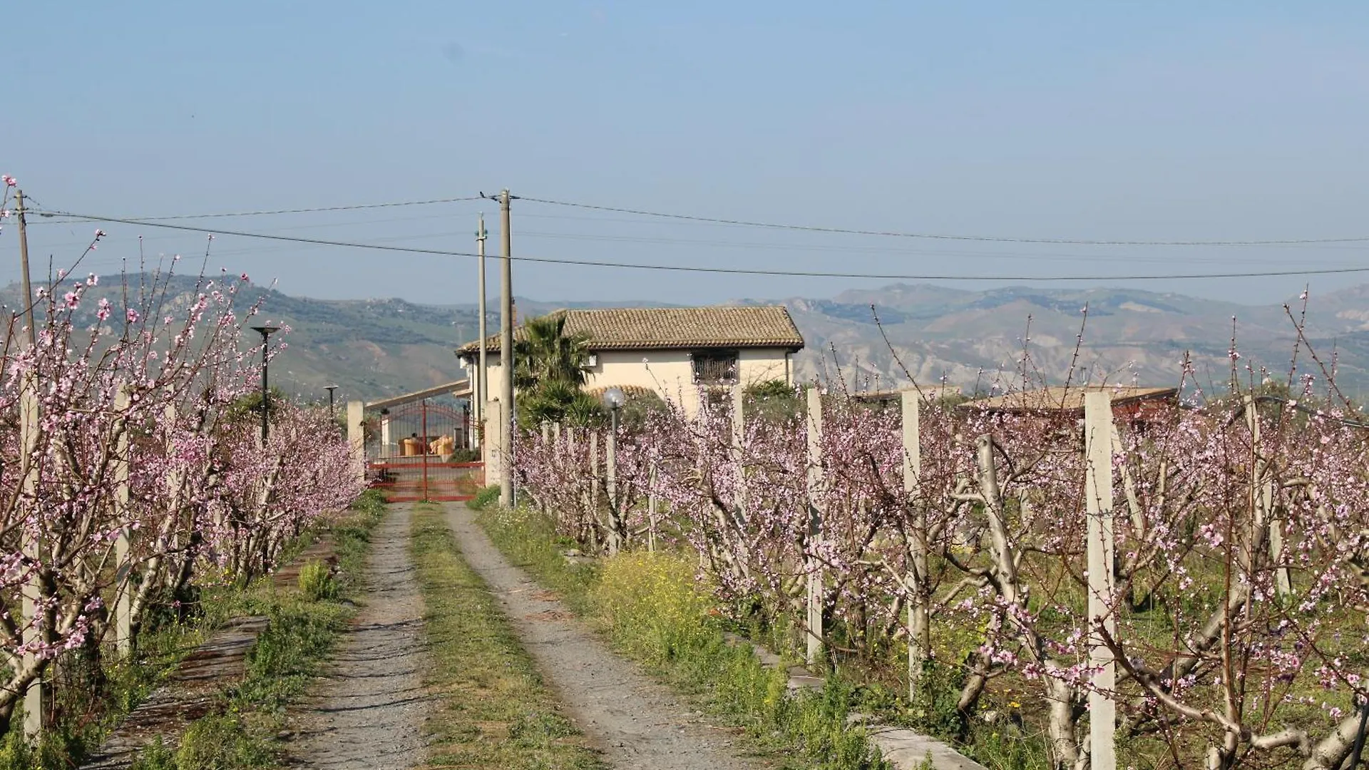 Ranch Simeto Otel Paterno  Paterno (Sicily)
